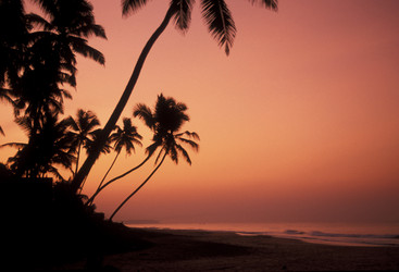 Similar image 11865782