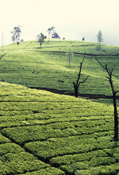 Similar image 11865784