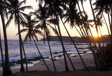 Similar image 11865786