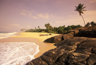 Similar image 11865792