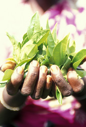 Similar image 11865794