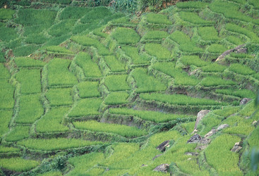 Similar image 11865795