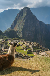 Similar image 11843409