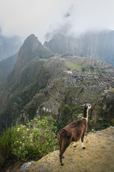 Similar image 11843436