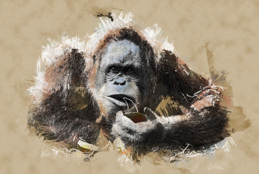 Similar image 11841146