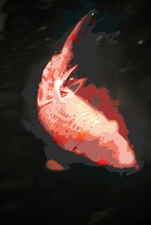 Similar image 11841184