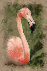 Similar image 11841186