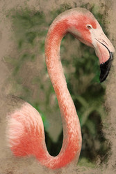 Similar image 11841187