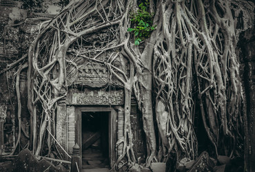 Similar image 11843477