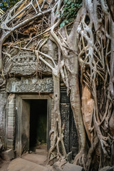 Similar image 11843392