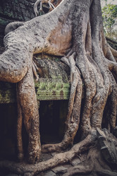 Similar image 11843414