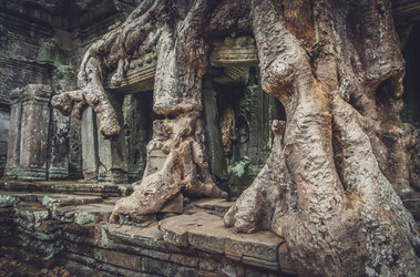 Similar image 11843446