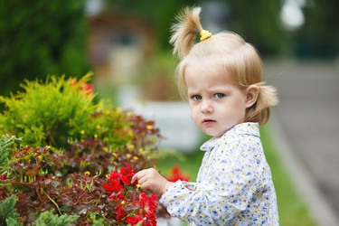 Similar image 11846006