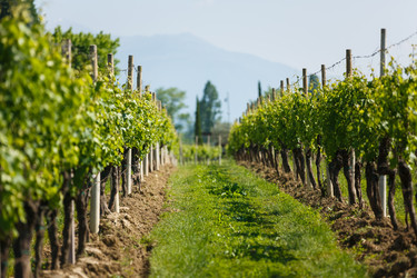 Similar image 11846045