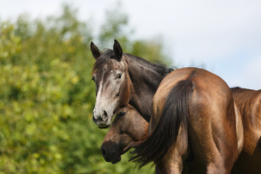 Similar image 11846067