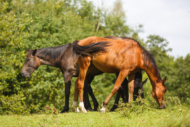 Similar image 11846069