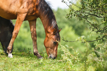 Similar image 11846070