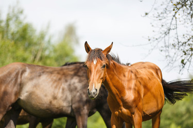 Similar image 11846071