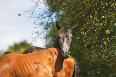 Similar image 11846072