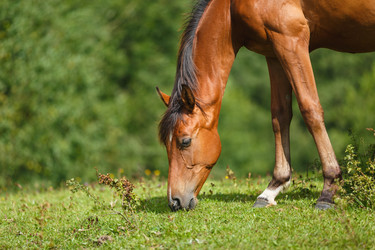 Similar image 11846073