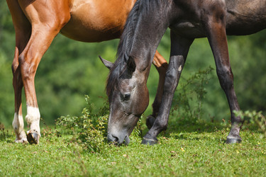 Similar image 11846074