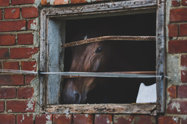 Similar image 11846076