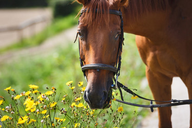 Similar image 11846078