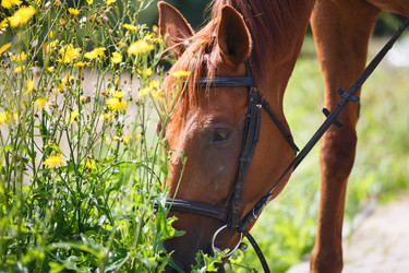 Similar image 11846079