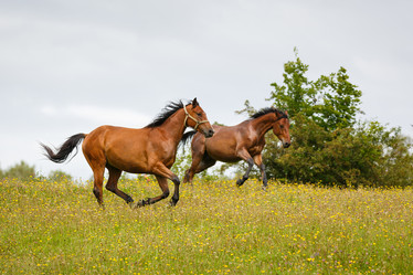 Similar image 11846080