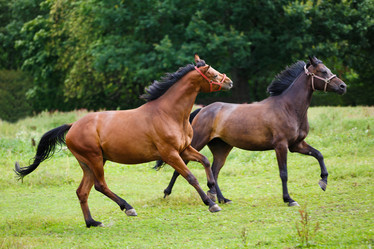 Similar image 11846086