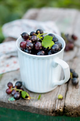 Similar image 11859055