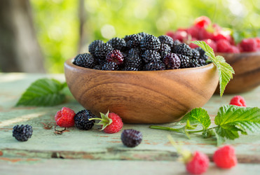 Similar image 11859057