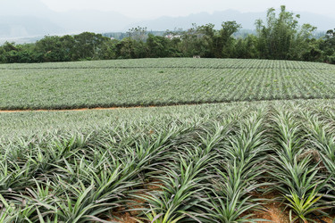 Similar image 11851714