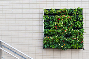 Similar image 11851896