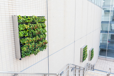 Similar image 11851915