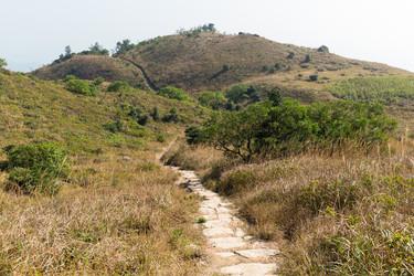 Similar image 11851955