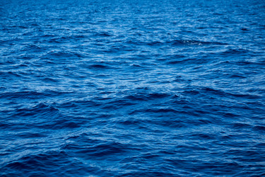 Similar image 11852256