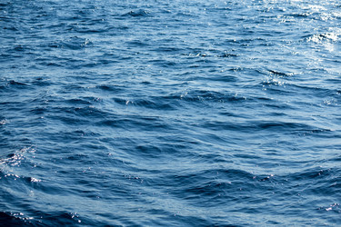 Similar image 11852294