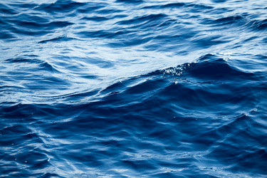 Similar image 11852295