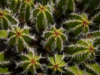 Similar image 11843426