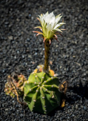 Similar image 11843448