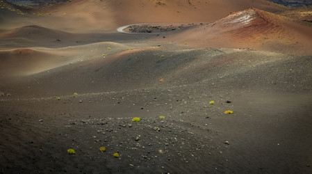 Similar image 11843464