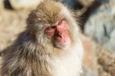 Similar image 11852514