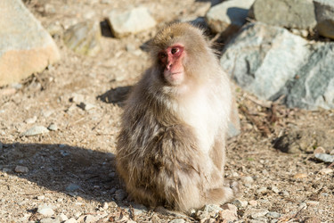 Similar image 11852515