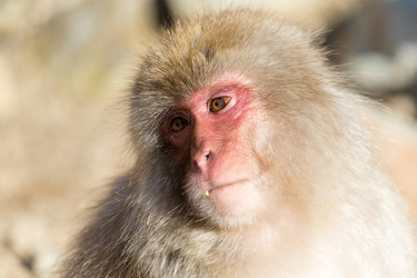 Similar image 11852534