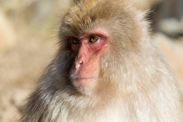 Similar image 11852535