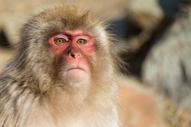 Similar image 11852554