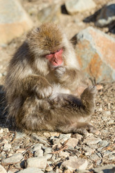 Similar image 11852555