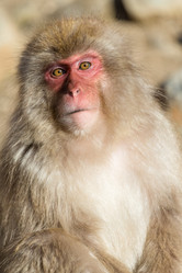 Similar image 11852590