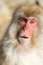 Similar image 11852592